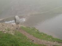 Youri - Ecrins 2005 215